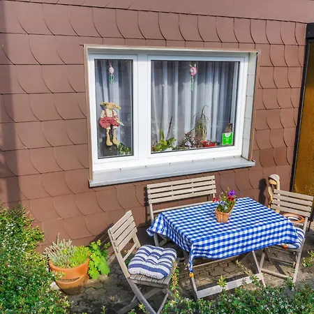 Apartament Large With Garden In A District Of