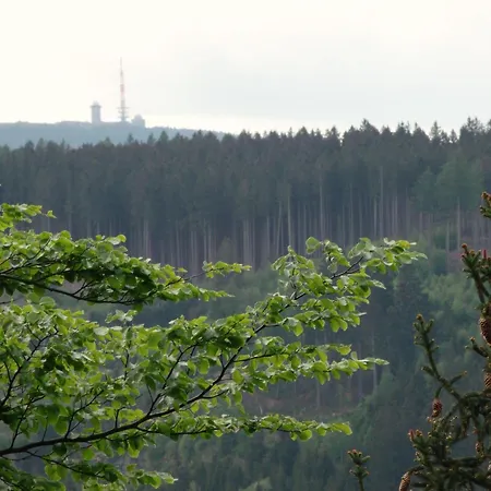 Apartament Large With Garden In A District Of Braunlage