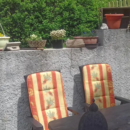 Large With Garden In A District Of Apartament *